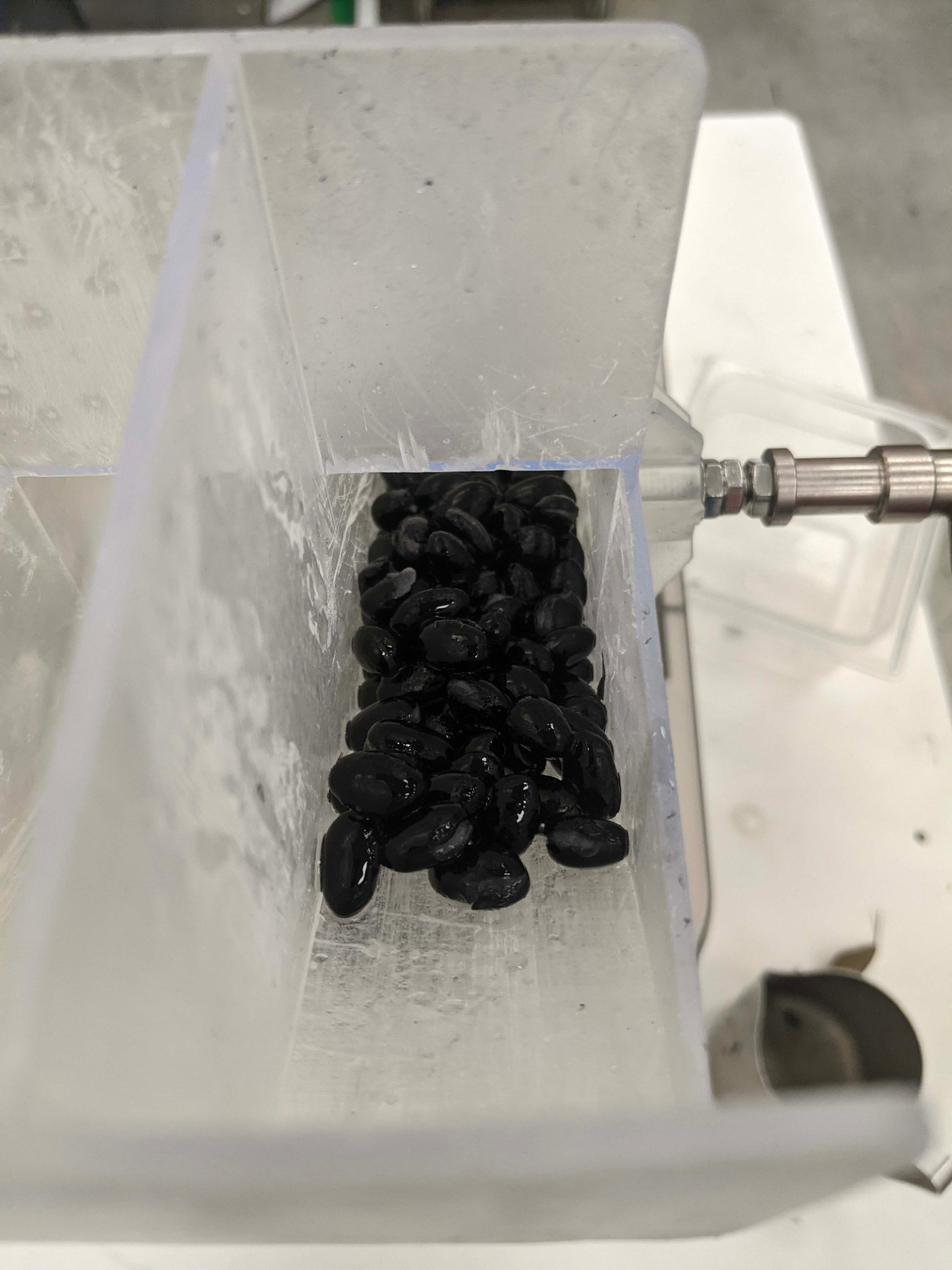 Top view into a clear clamped chute containing black beans.